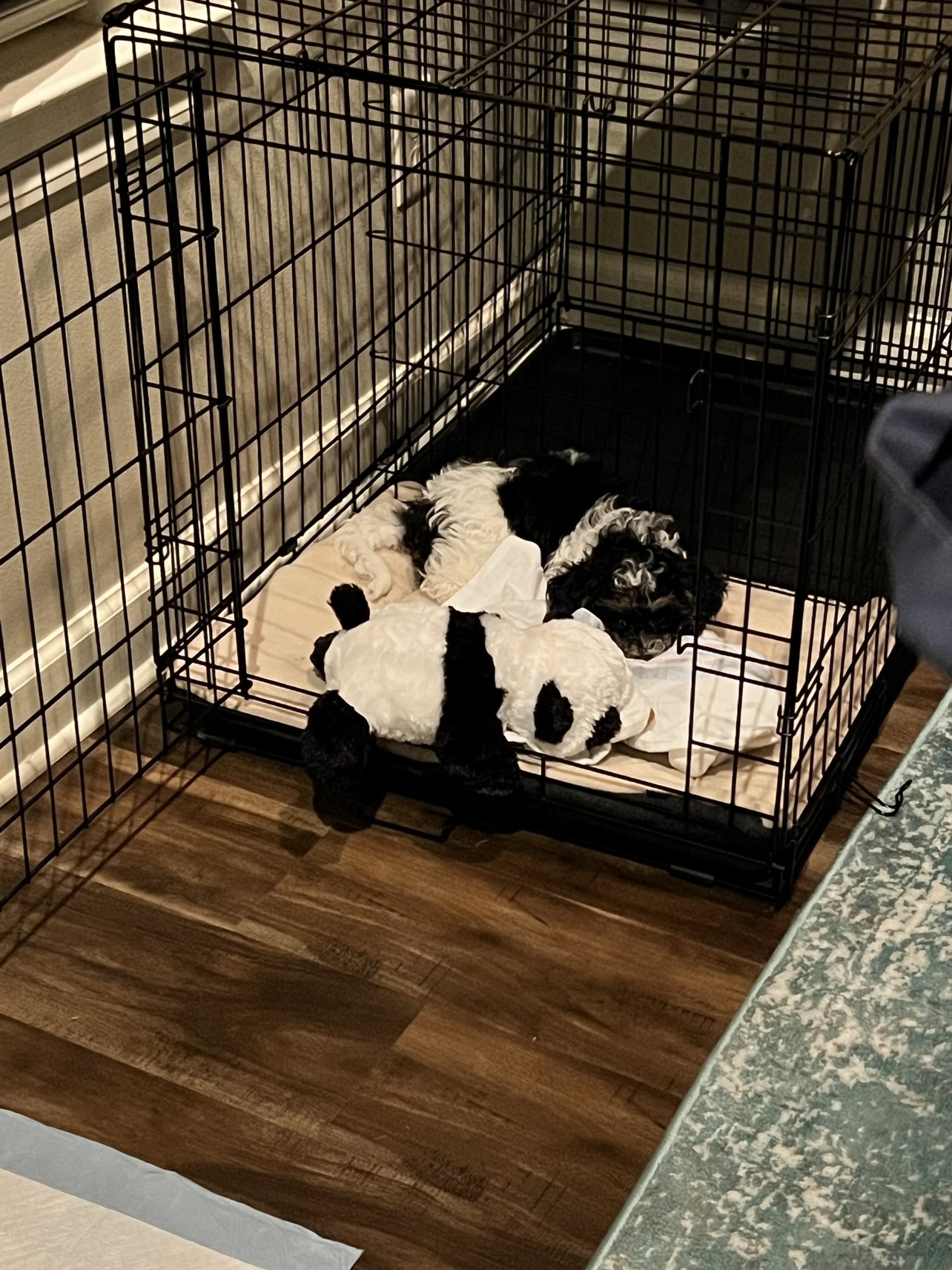 Dog crate - photo 5