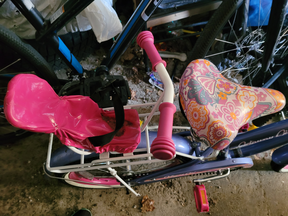 🥕🥕Girls bike with basket and baby ridealong and training wheels image indicator(4)