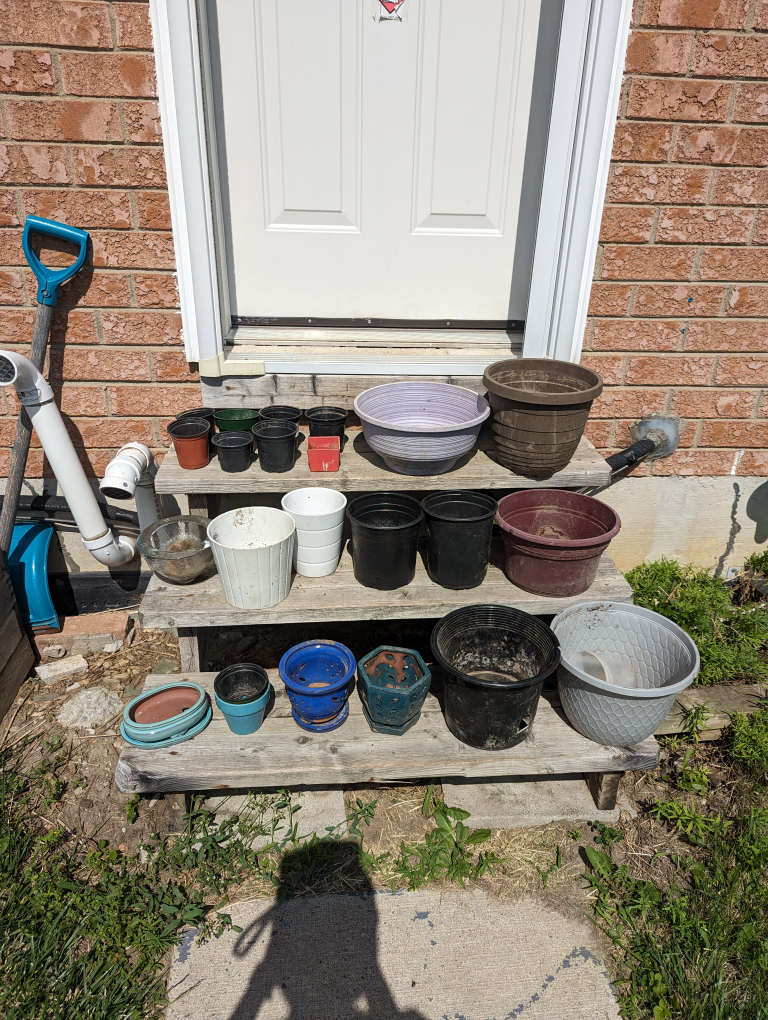 plant pots