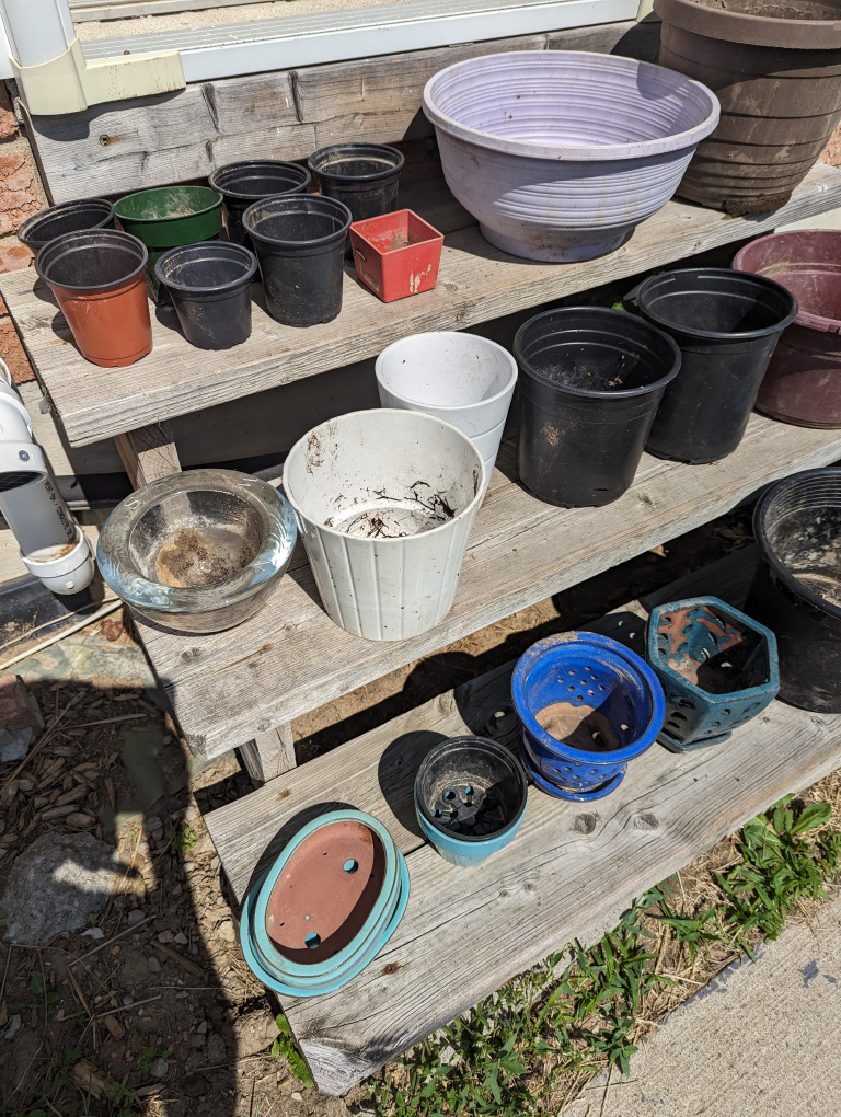 plant pots - photo 3