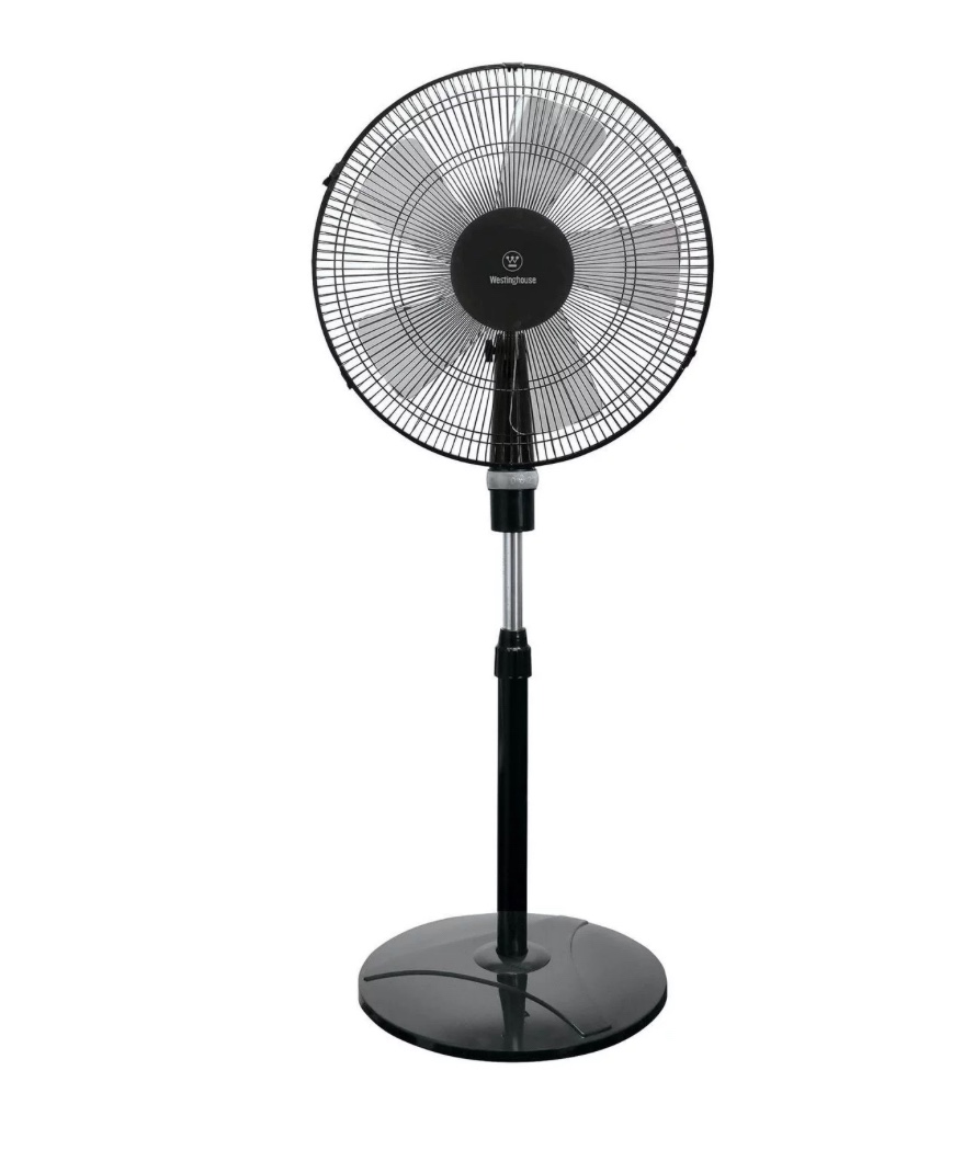 Fan