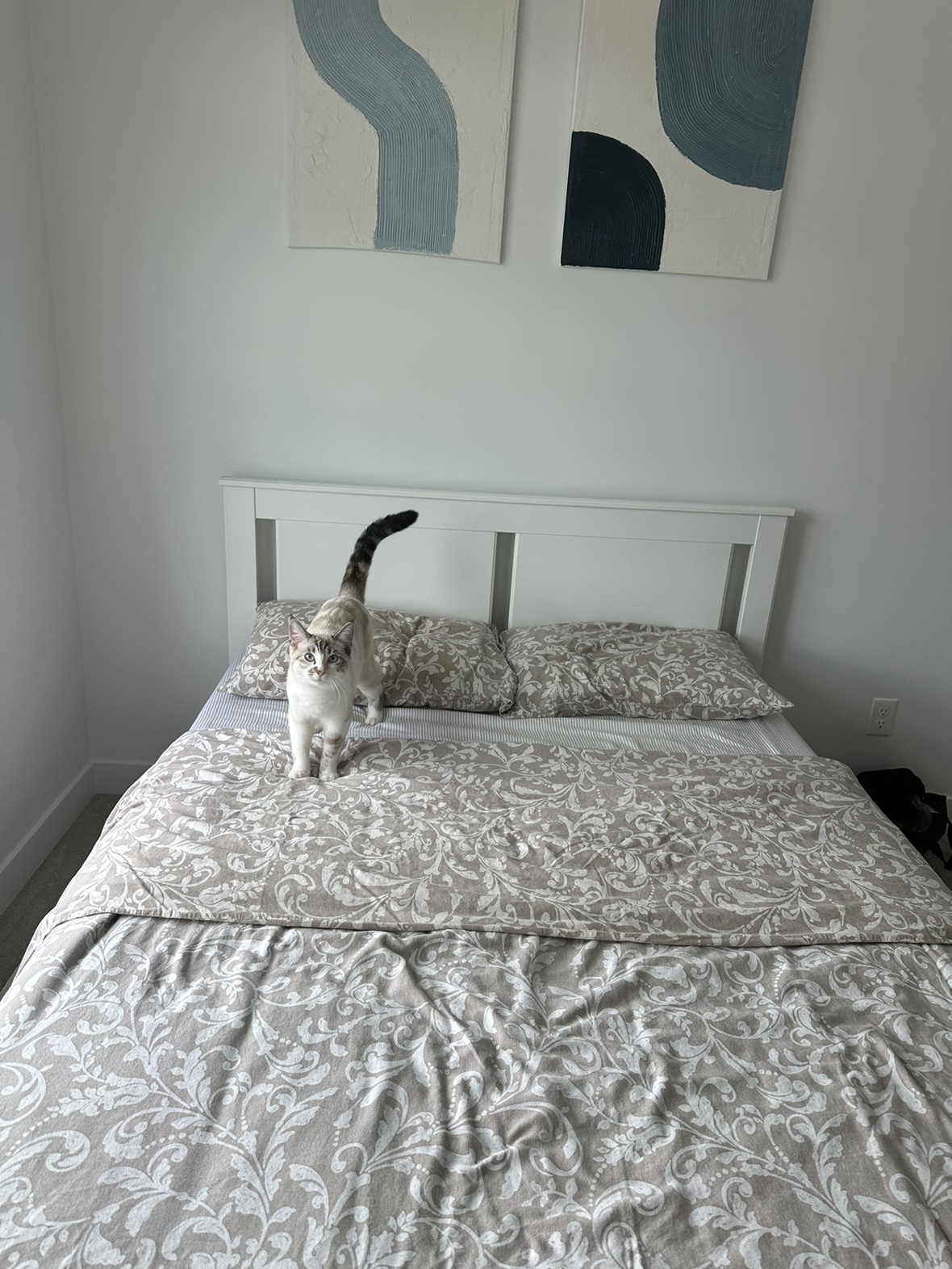 Double bed / Full bed and mattress