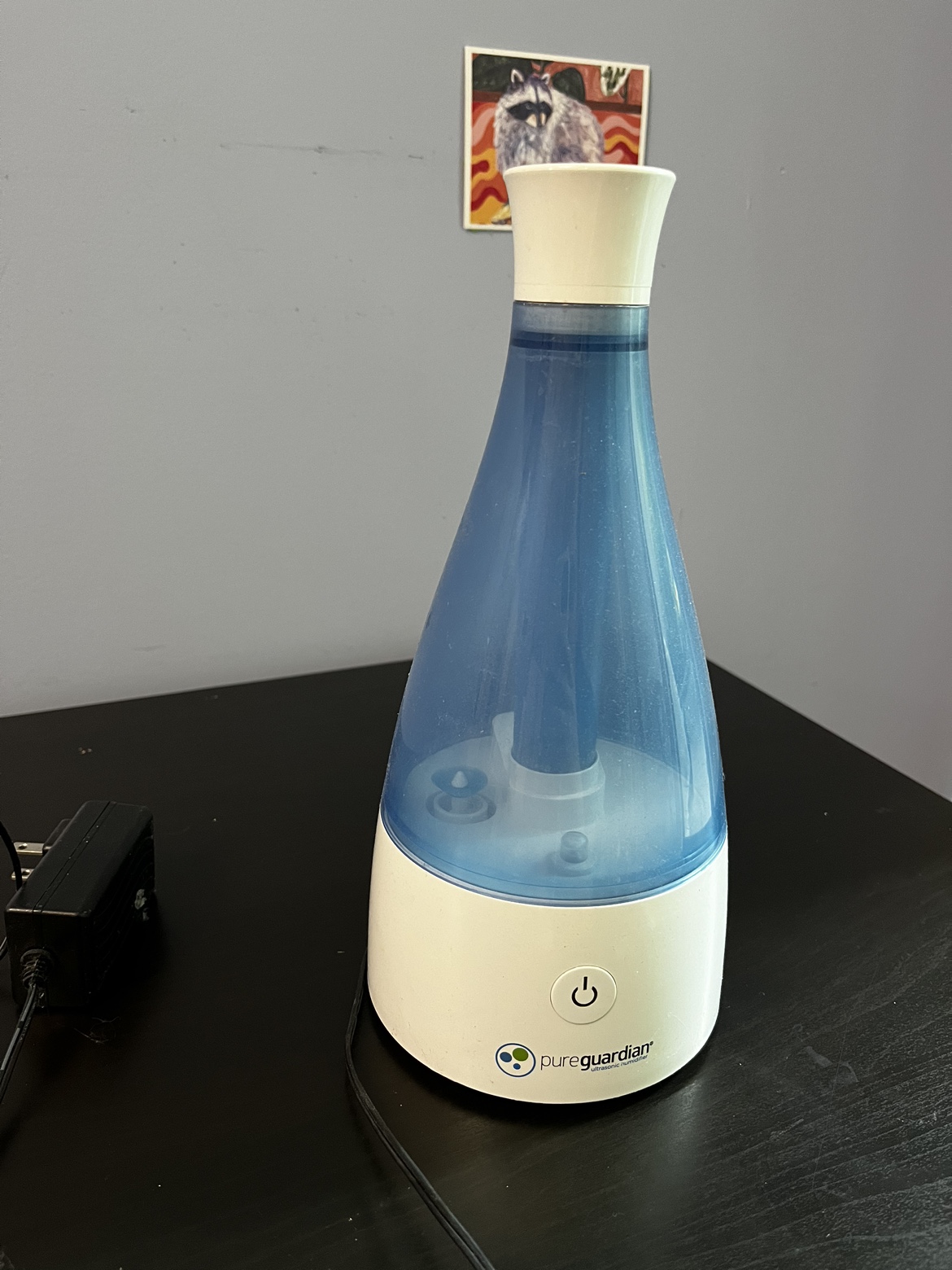 Pureguardian ultrasonic humidifier