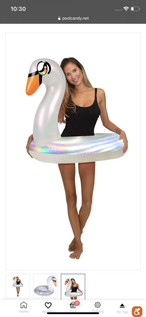 Holographic goose jumbo pool tube