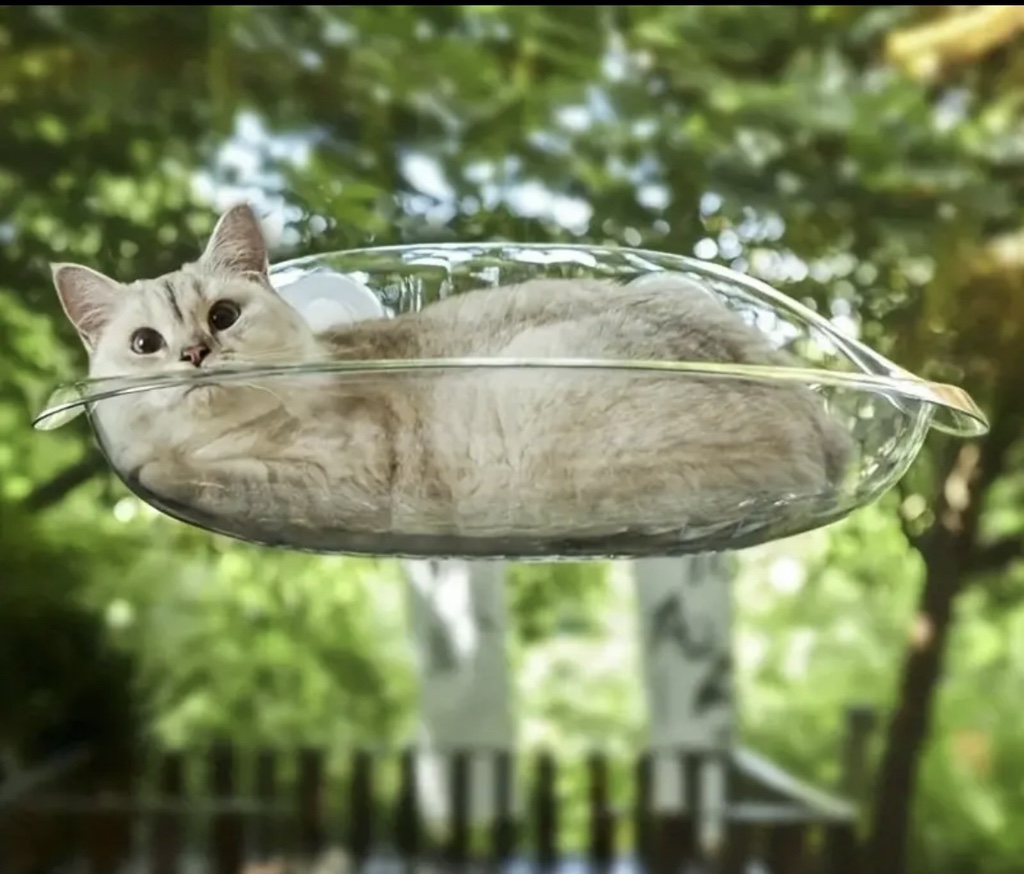 Cat hammock (transparent) - photo 5