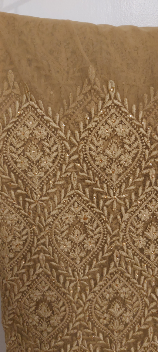 Unstitched Nude Tulle Saree - Indian Ethnic Wear image indicator(6)