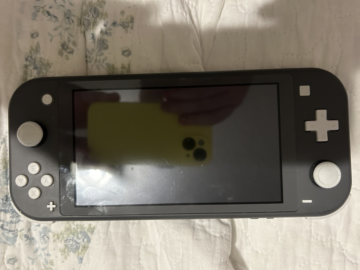 Nintendo Switch Lite