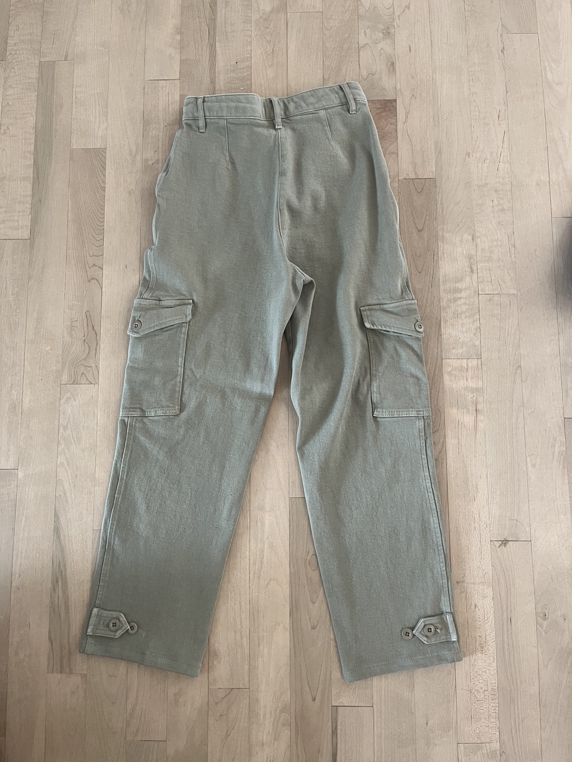 Aritzia Wilfred Free Cargos - Size 6