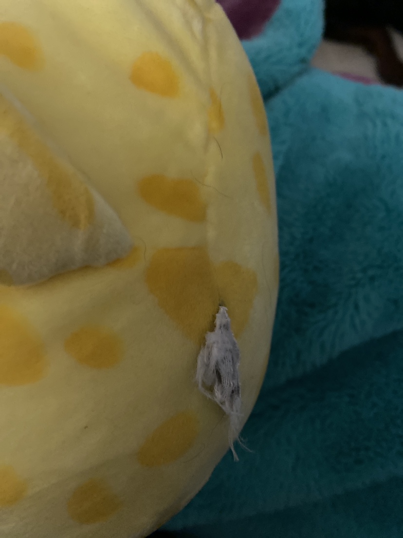 Squishmallow image indicator(2)