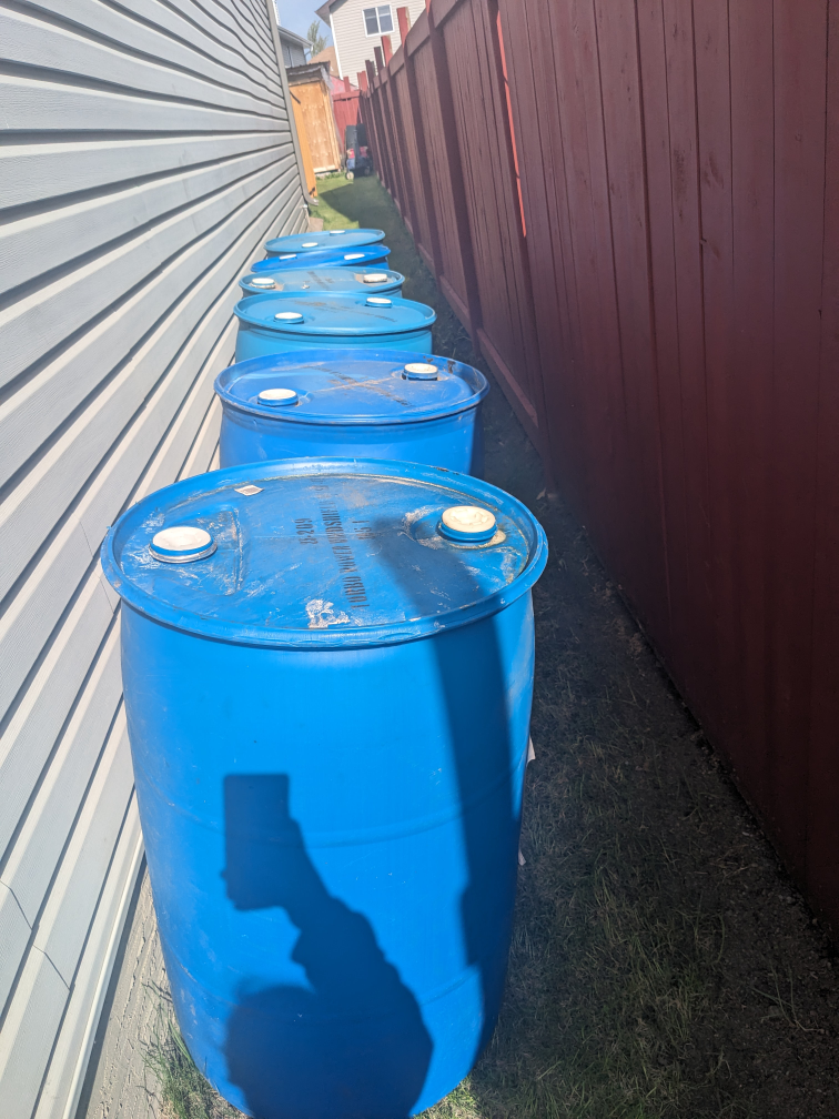 Rain drum water barrels $50 each 825 419 9851 - photo 3