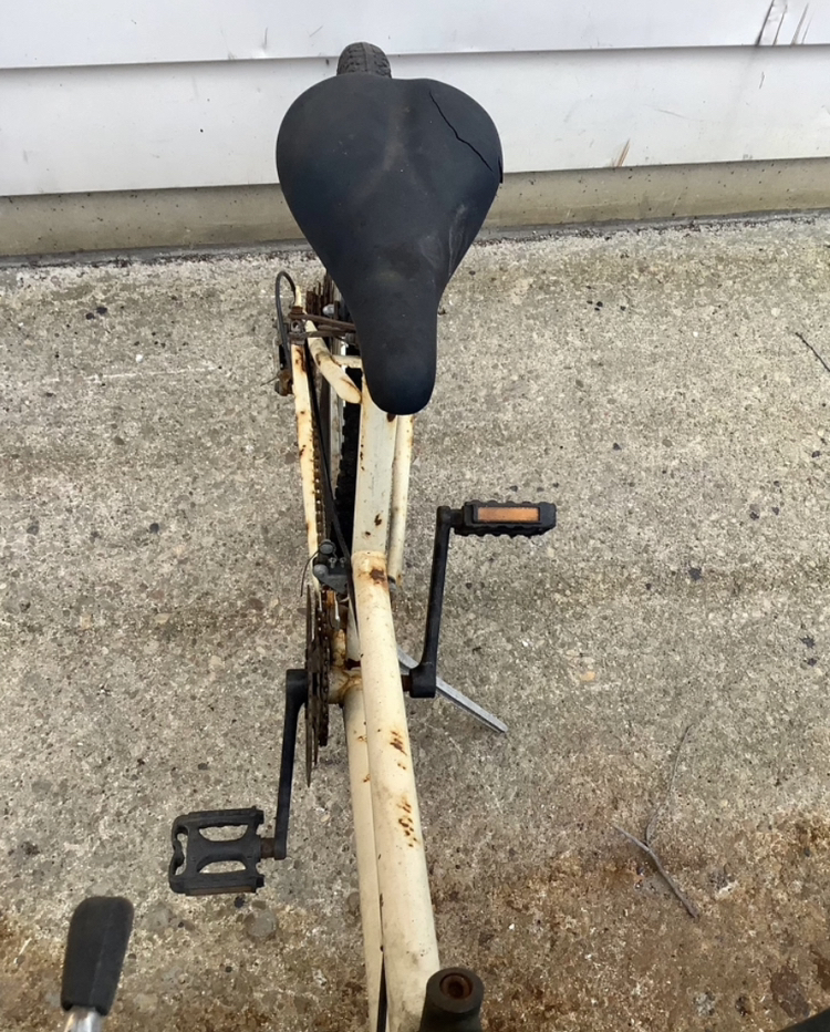 Bicycle image indicator(4)