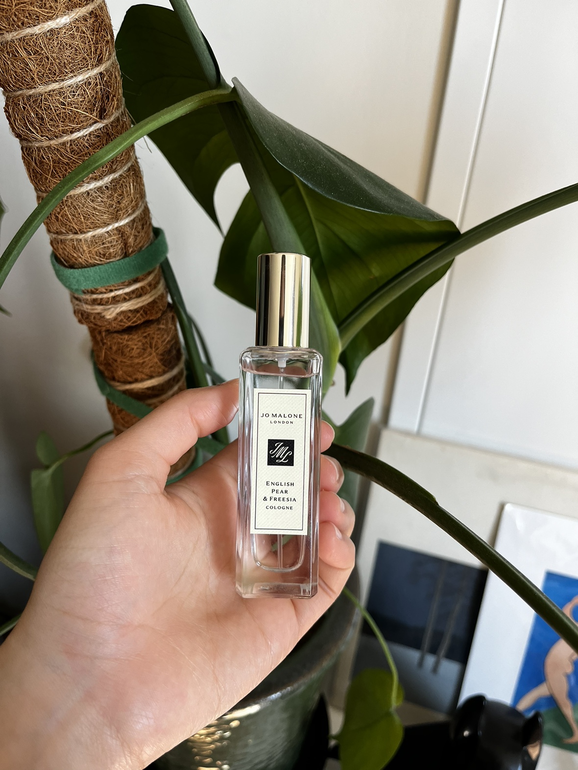 Jo Malone English Pear & Freesia Perfume
