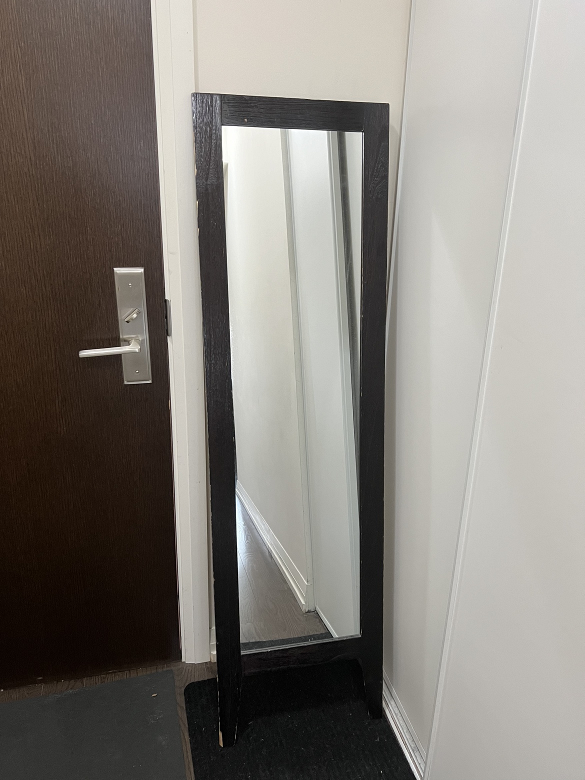 Standing Mirror $10