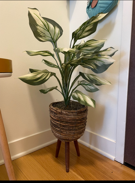 Small fake plant