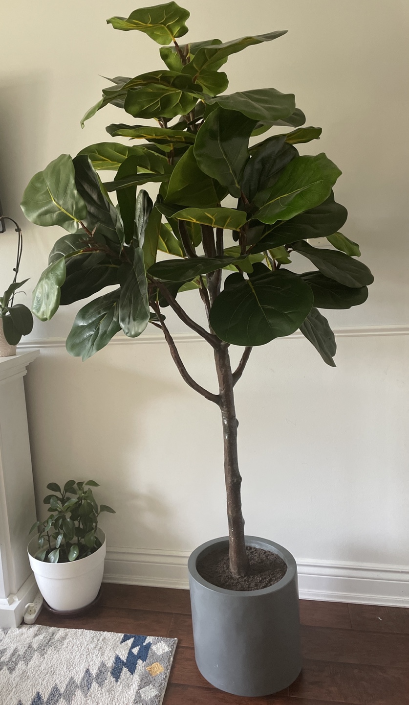 Artificial fig tree