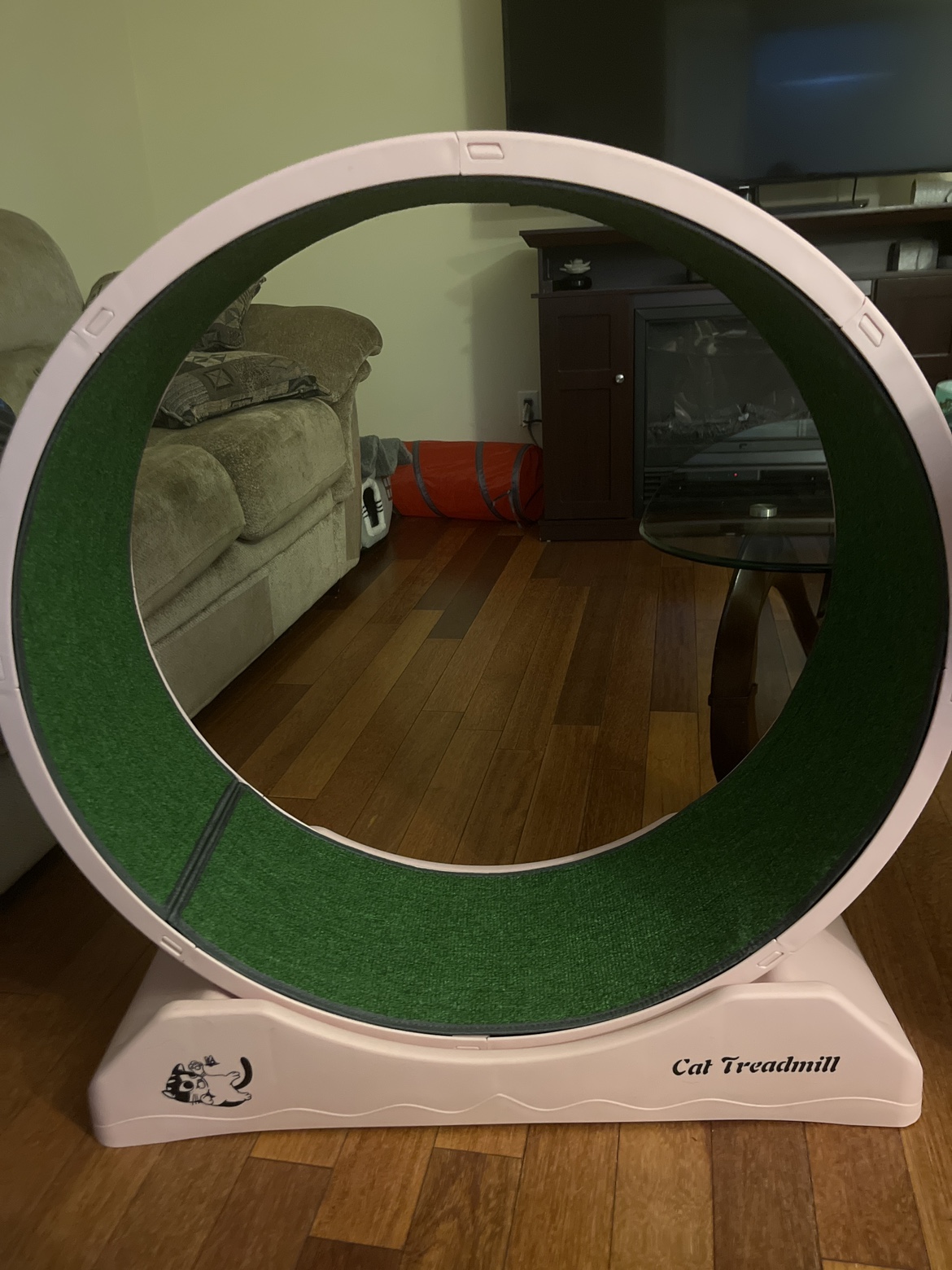 Cat Wheel/Treadmill