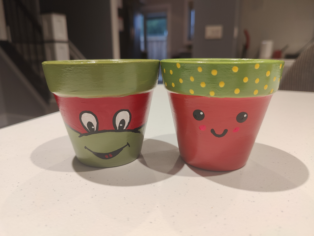 Hand painted pots