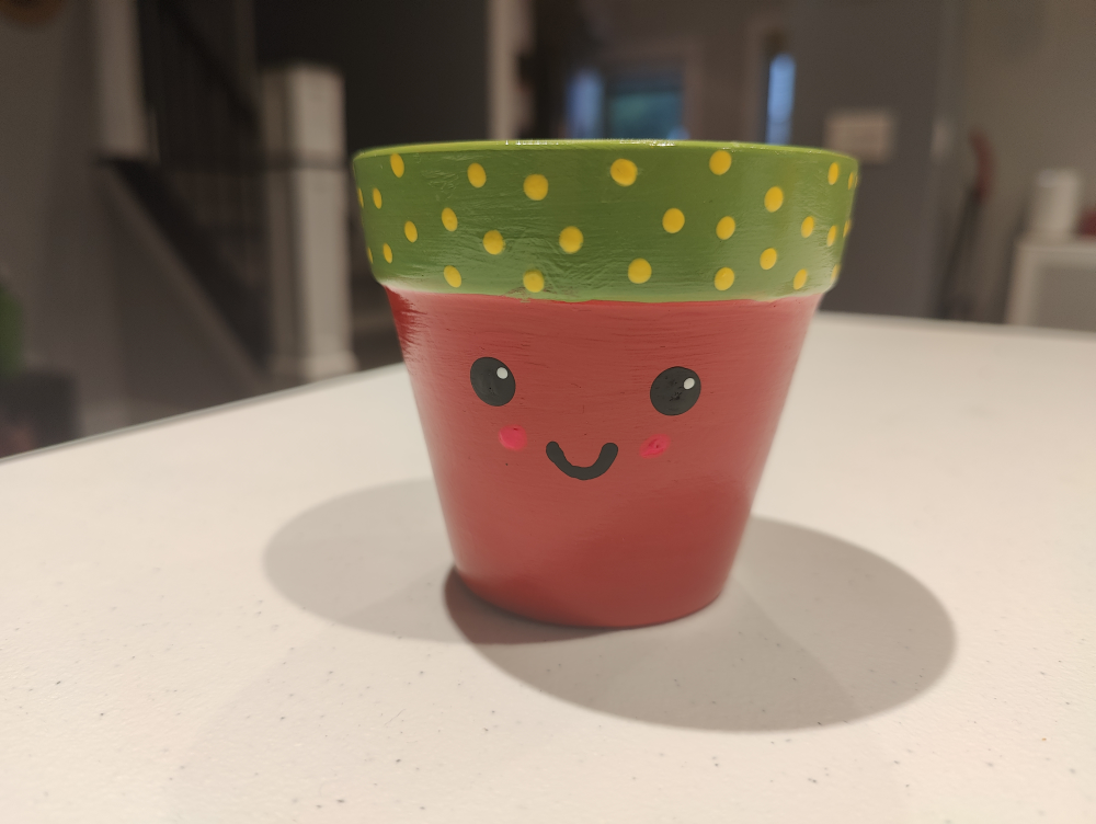 Hand painted pots - photo 3