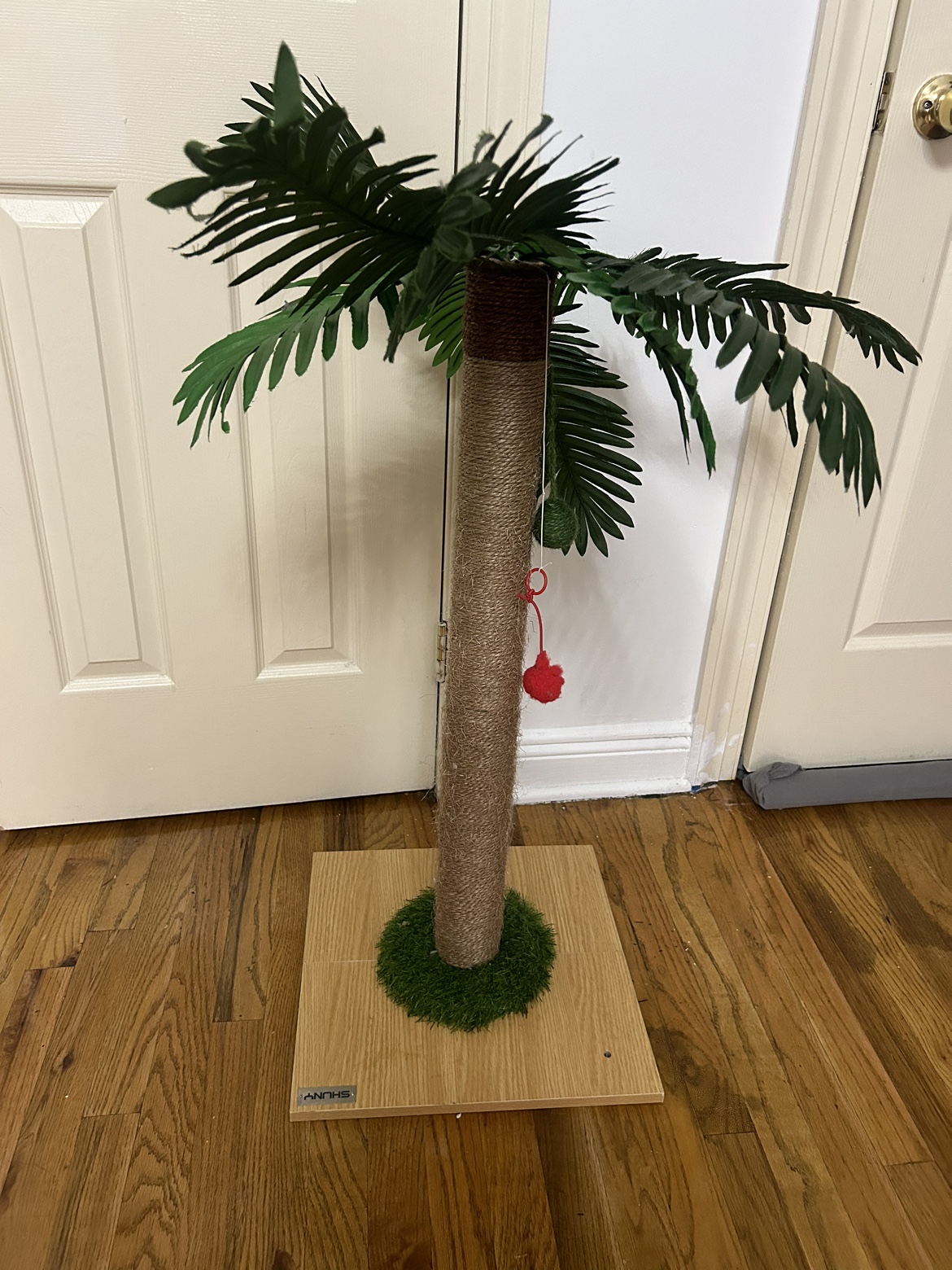 Palm tree image indicator(2)