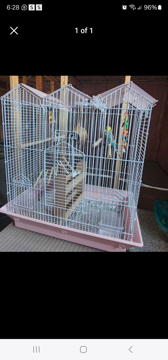 Cage