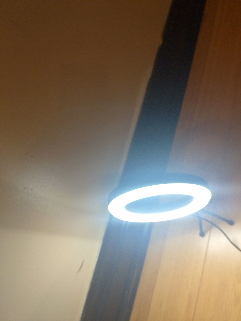 Ring Light - photo 5