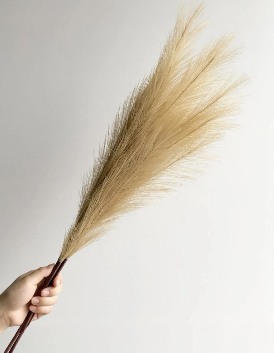 ARTIFICIAL FAUX PAMPAS 56 PIECES - photo 3