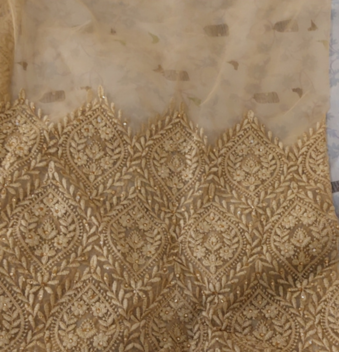 Unstitched Nude Tulle Saree - Indian Ethnic Wear image indicator(2)