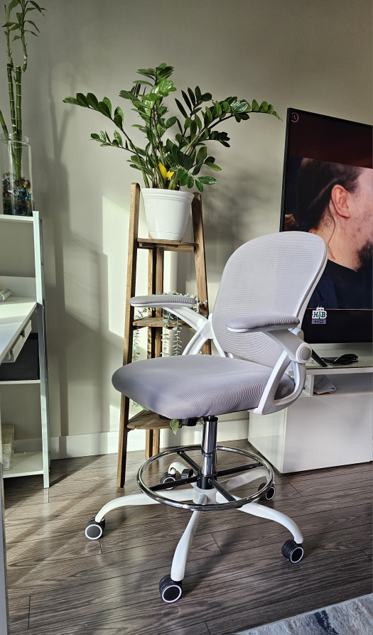 Desk/Office Chair