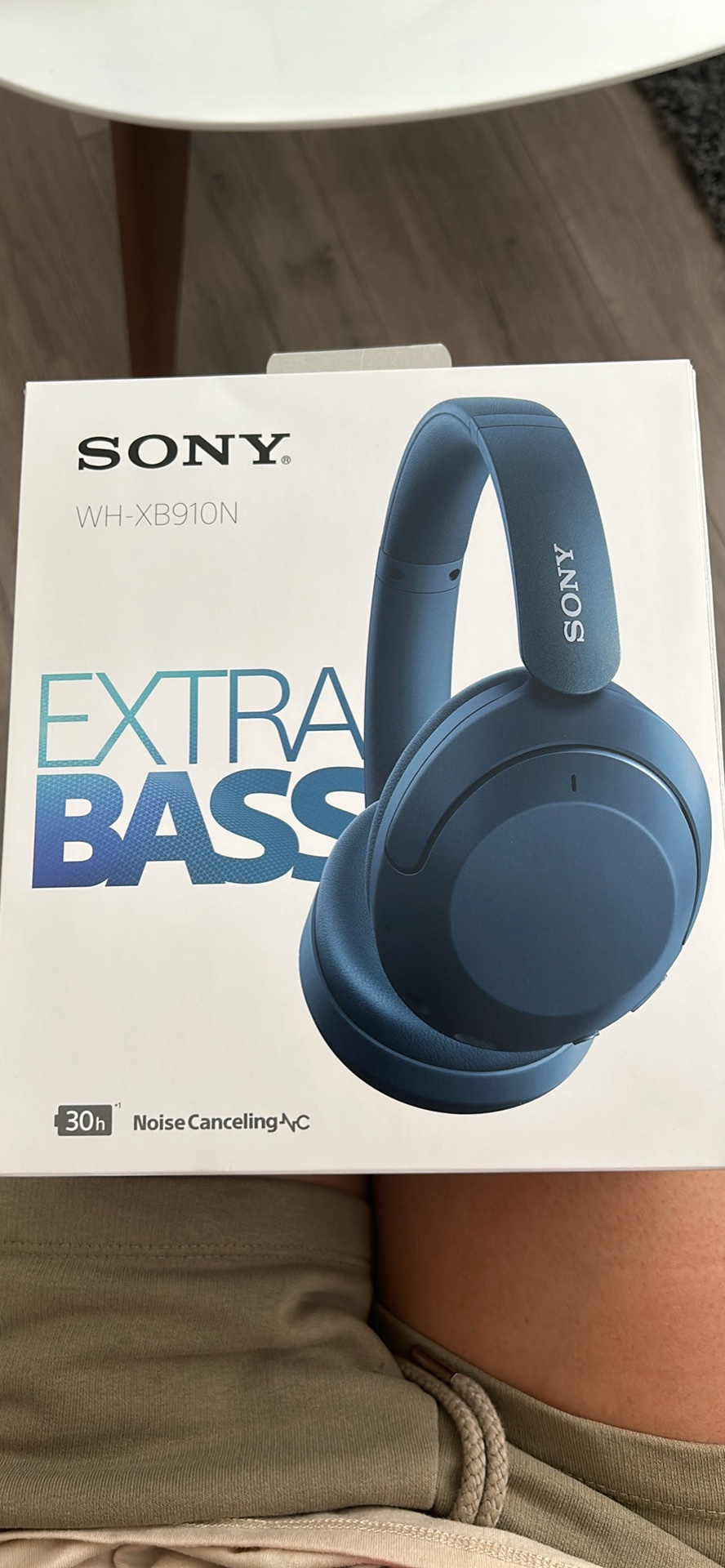 Sony Headphones (Noise Cancelling)