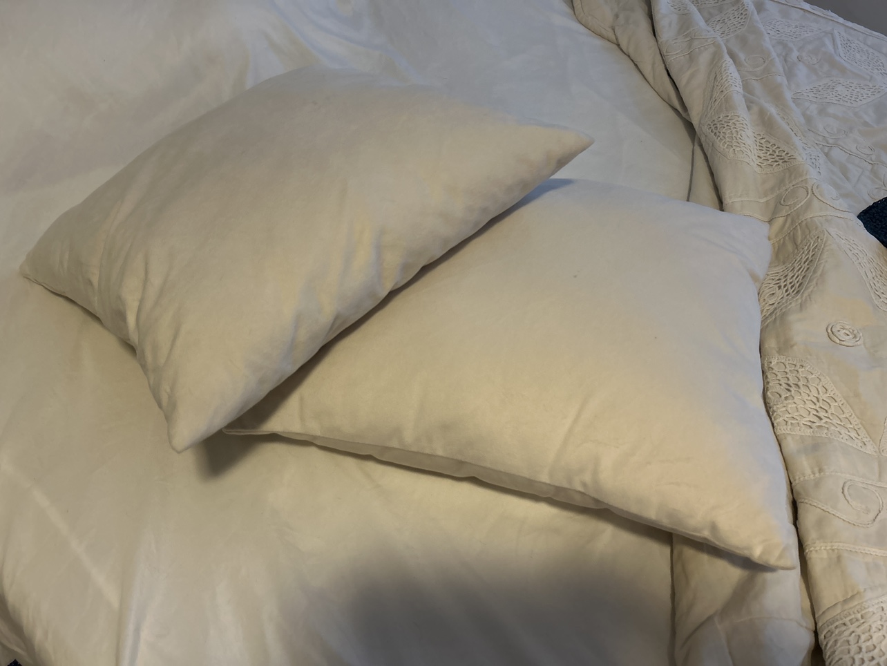 Throw Pillows Off White