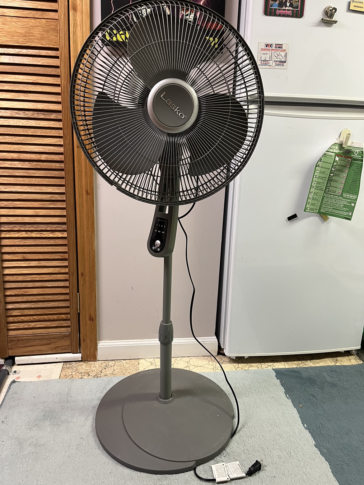 Fan (Lasco)