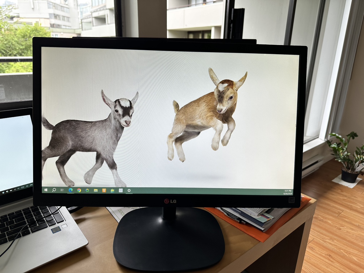 LG 24” LCD Monitor (Original Price $150) thumbnail