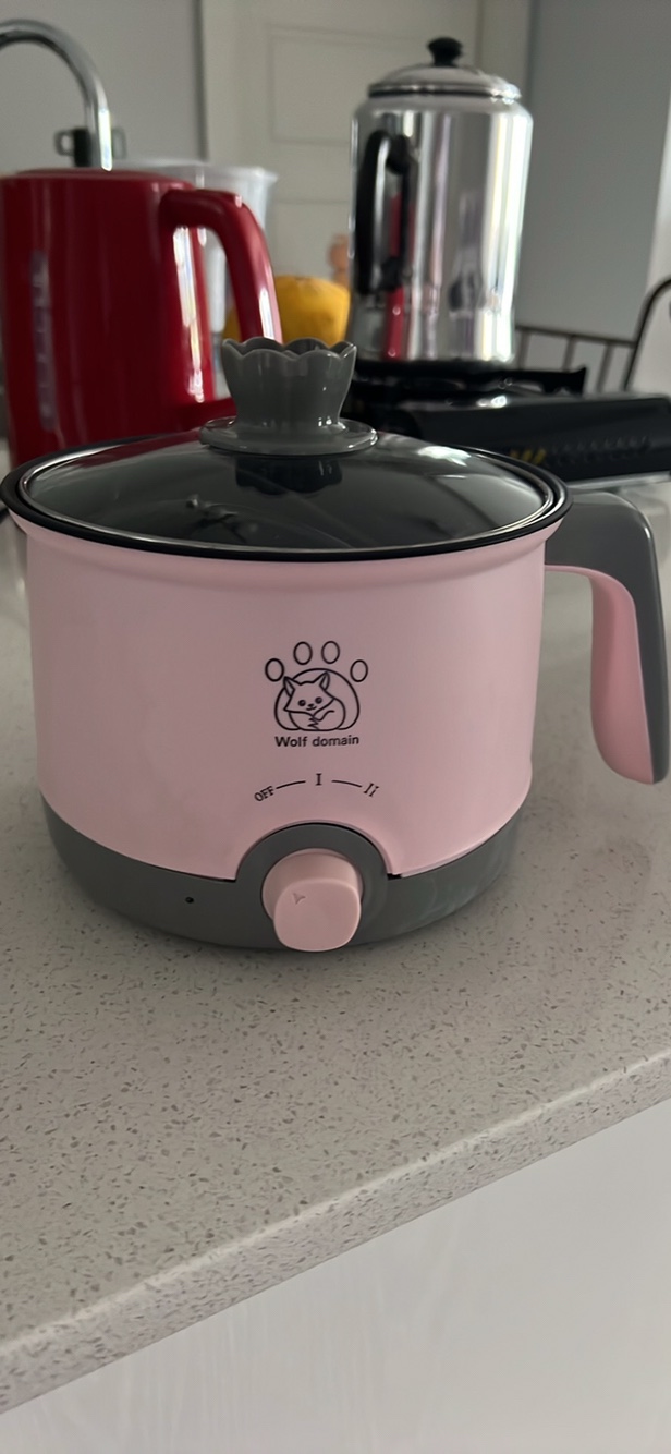 Electric Hot Pot