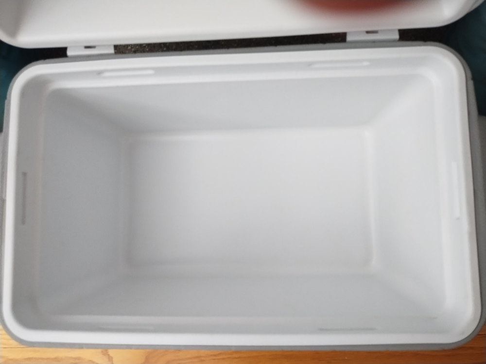 Vintage Coleman Oberweis Dairy 28qt Cooler Excellent Condition - photo 4