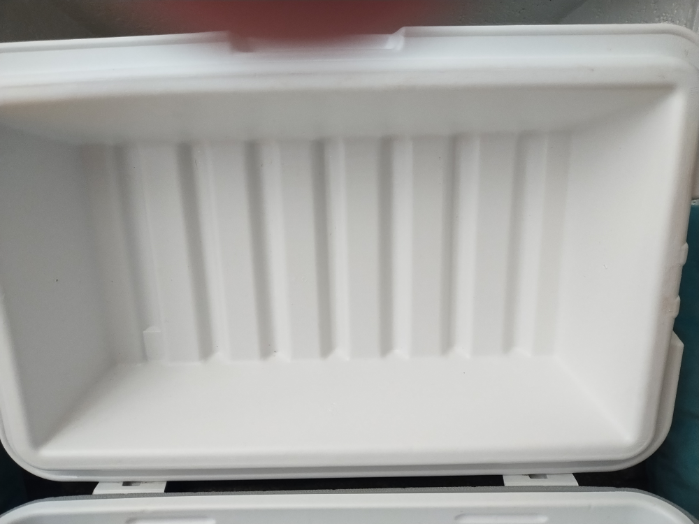 Vintage Coleman Oberweis Dairy 28qt Cooler Excellent Condition - photo 5