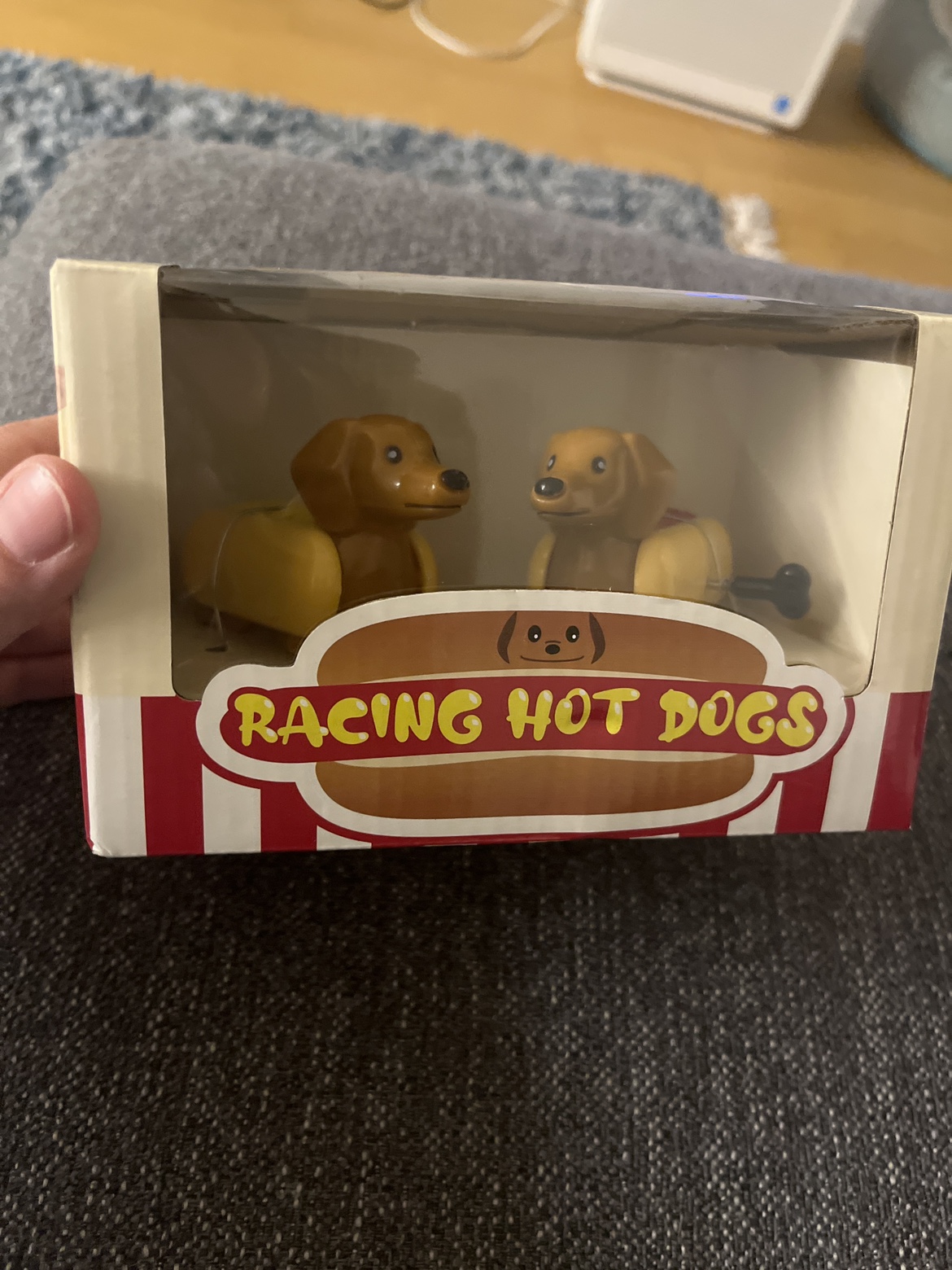 #freecycle Racing Hot Dogs - photo 2