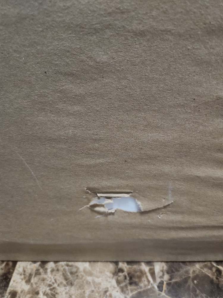 Leopard Print in Frame image indicator(4)