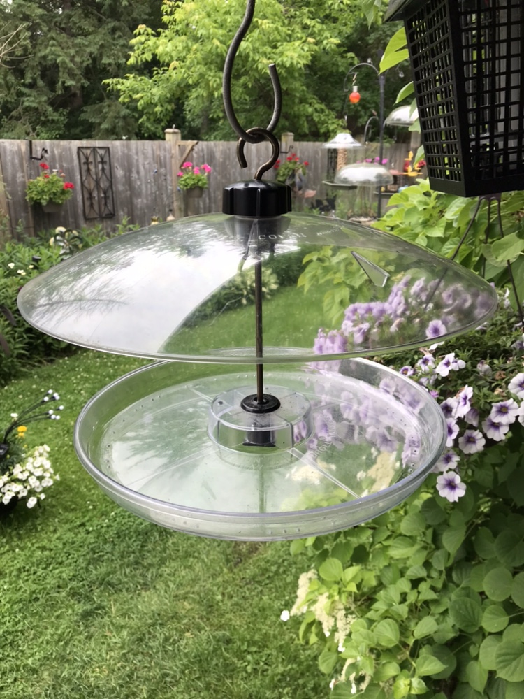 Tray bird feeder with a weather guard