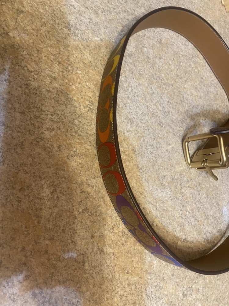 Authentic Coach pride belt unisex - photo 3
