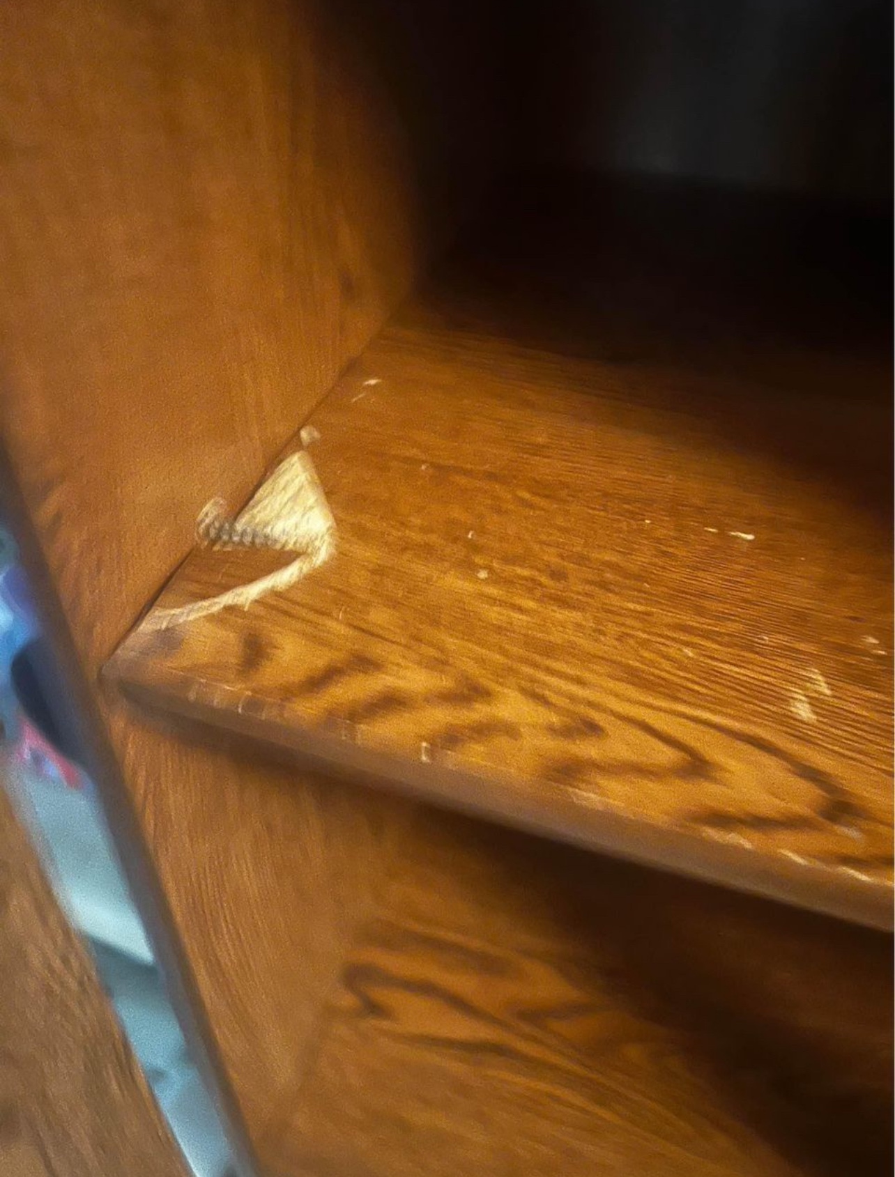 Bookshelve - photo 3