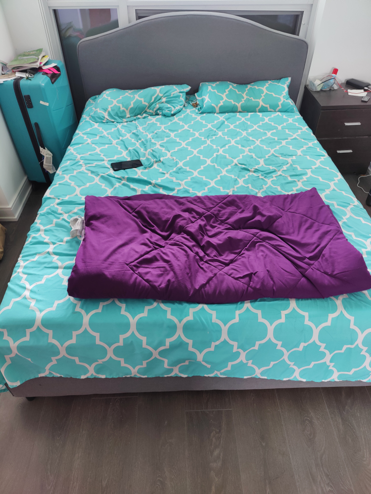 moving out - IKEA queen size bed frame for sale - photo 3