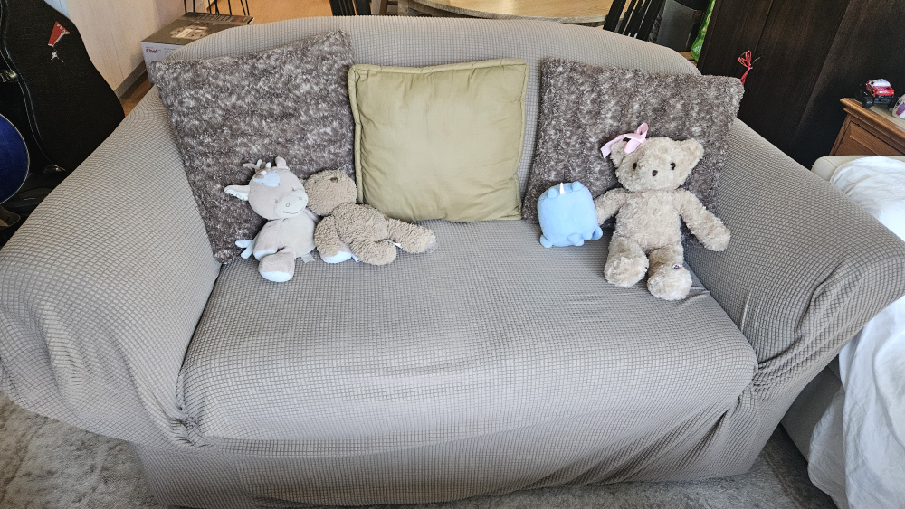 love seat with removable cover