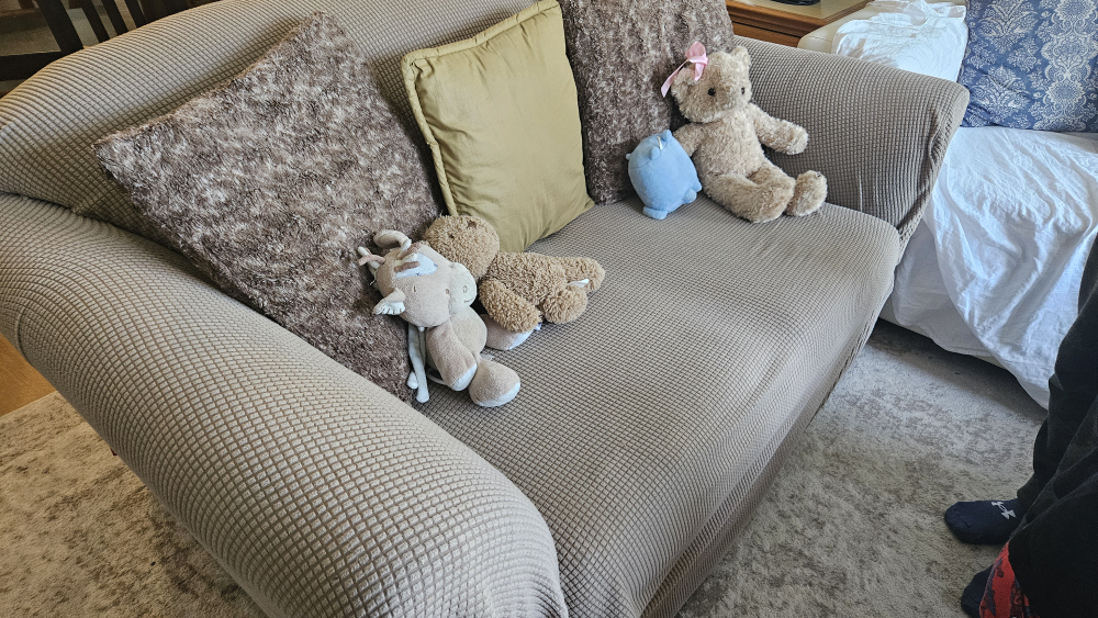 love seat with removable cover image indicator(2)