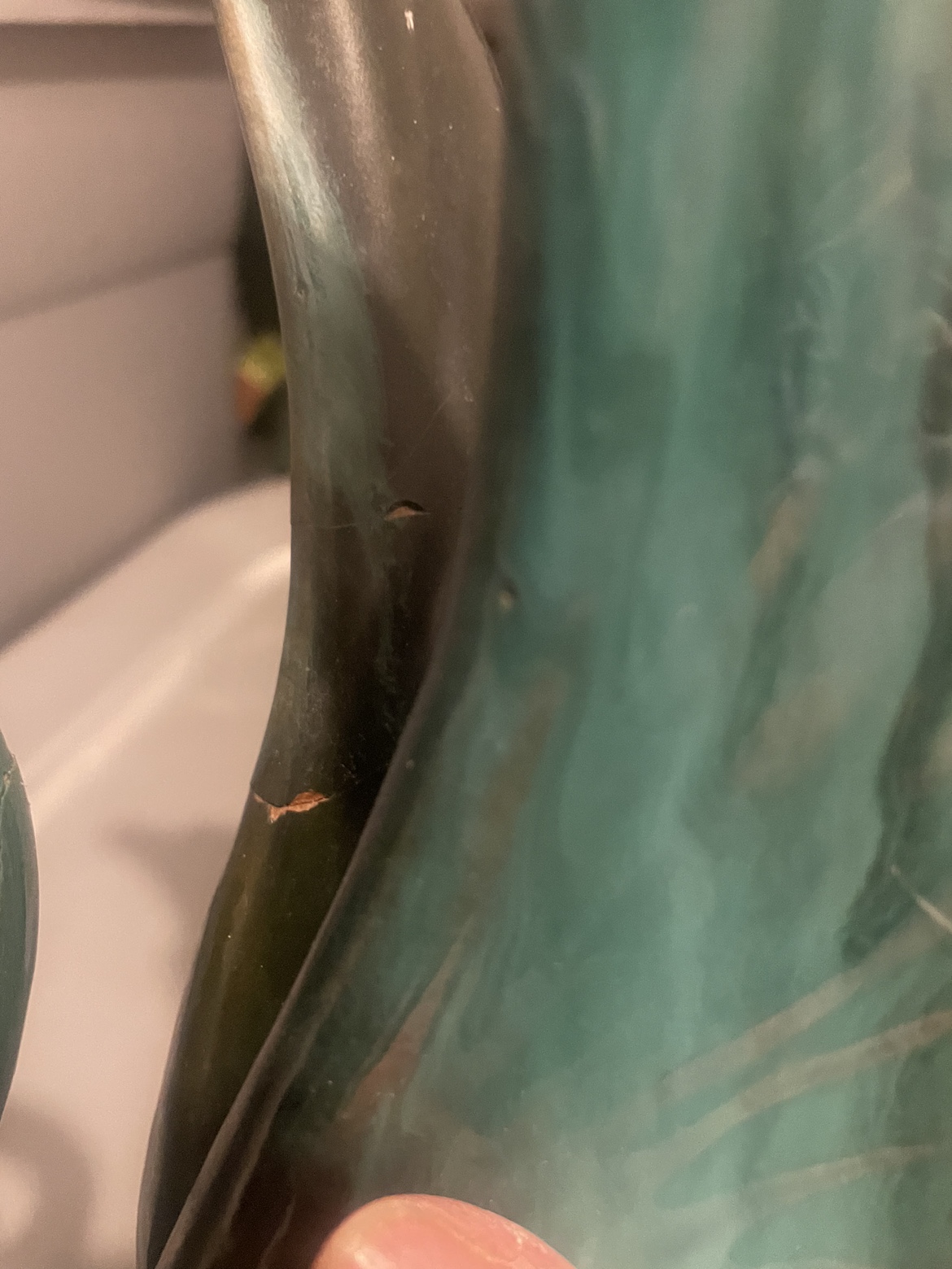 Collectables/Antiques image indicator(8)