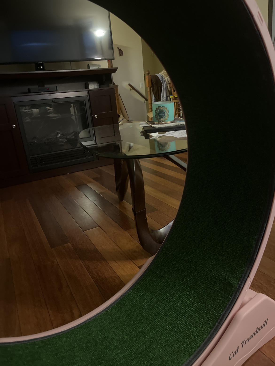 Cat Wheel/Treadmill - photo 3