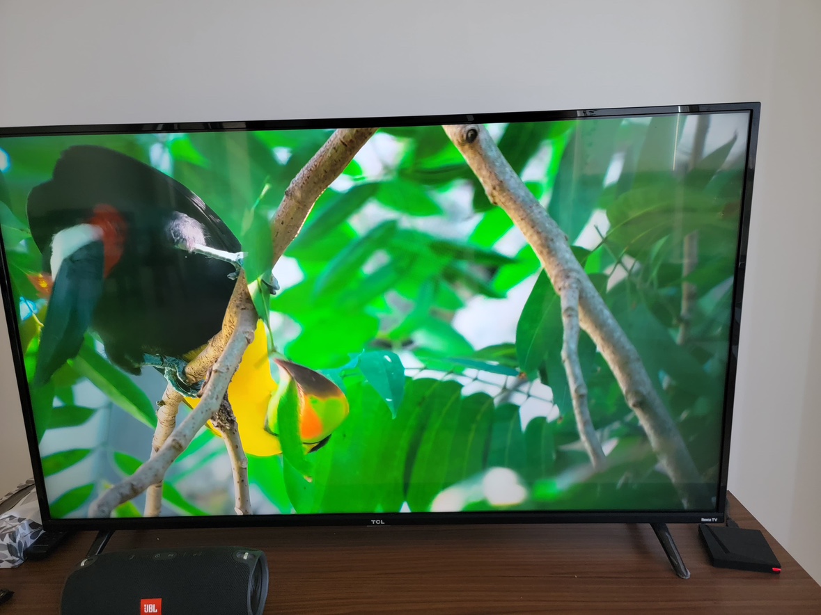 TCL - 55 inch TV - photo 2
