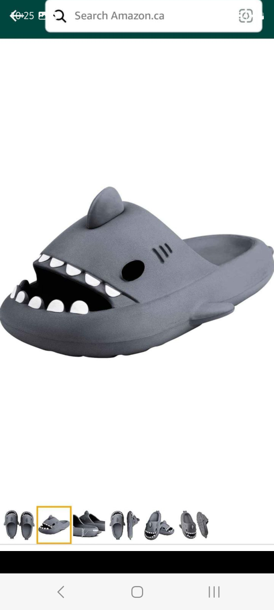 BN mens shark slides thumbnail