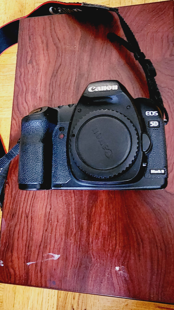 canon 5d mark ii image indicator(3)