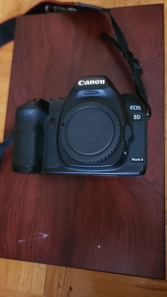 canon 5d mark ii image indicator(4)