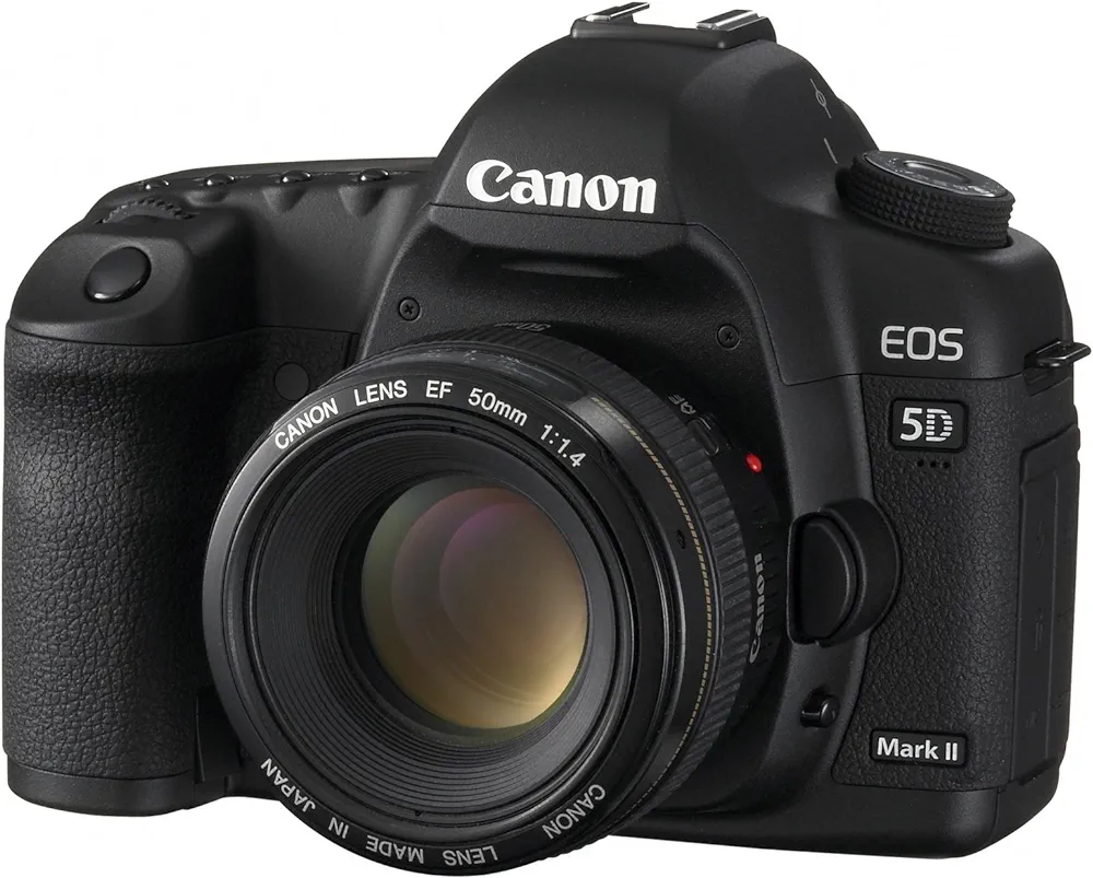 canon 5d mark ii image indicator(7)